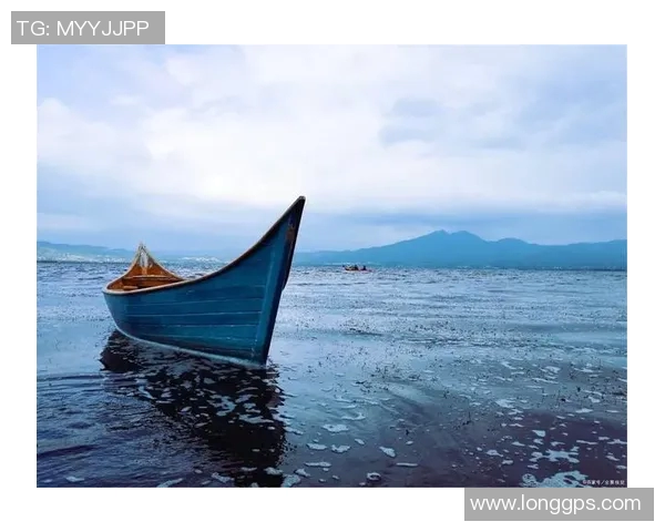 张帆的奋斗之路：从平凡到卓越的成长故事与人生哲学