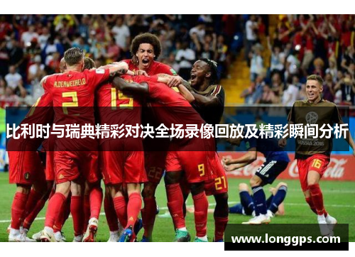 比利时与瑞典精彩对决全场录像回放及精彩瞬间分析